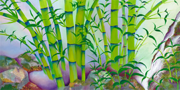 bamboo by jos